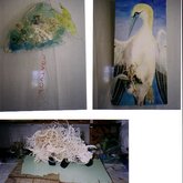 Constructions by Mosie 